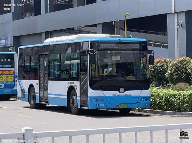 800BUS