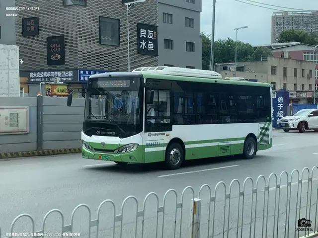 800BUS