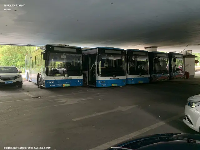 800BUS