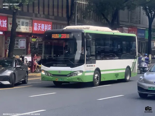800BUS