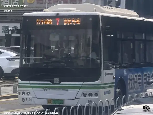 800BUS