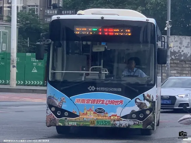 800BUS