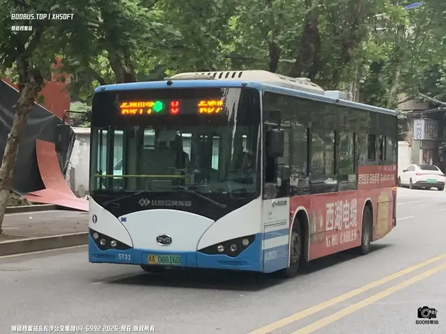 800BUS