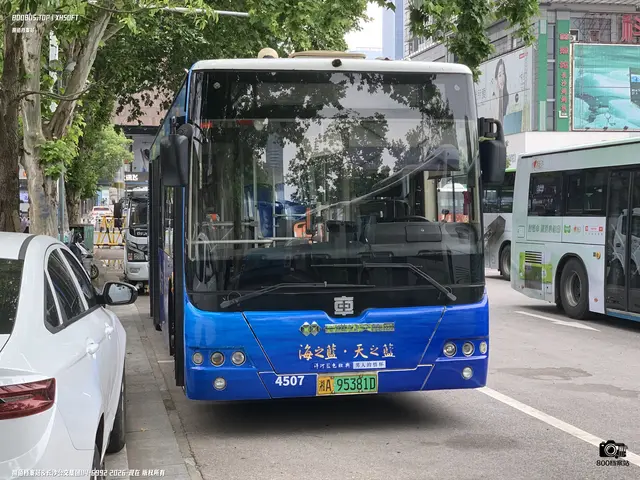 800BUS