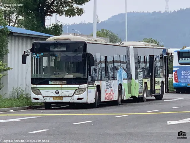 800BUS