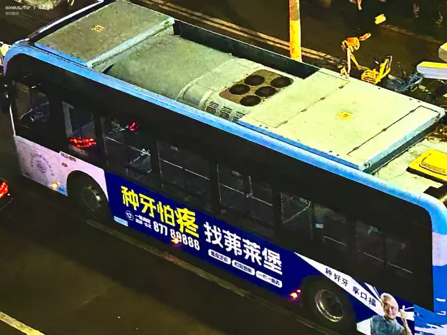 800BUS