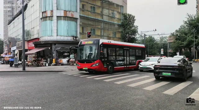 川A 10963D