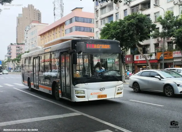 800BUS