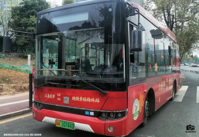 800BUS
