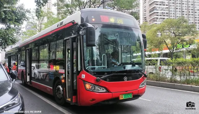 800BUS