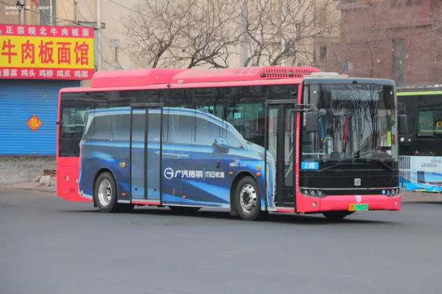 辽M 09003D