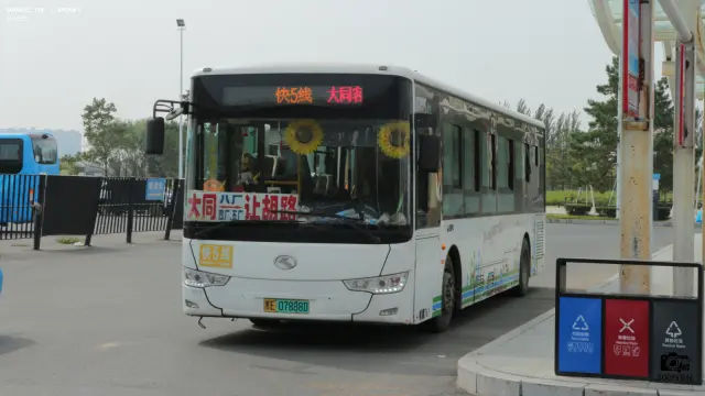 800BUS