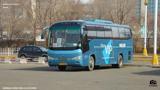 800BUS