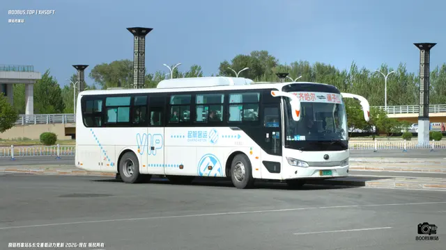 800BUS
