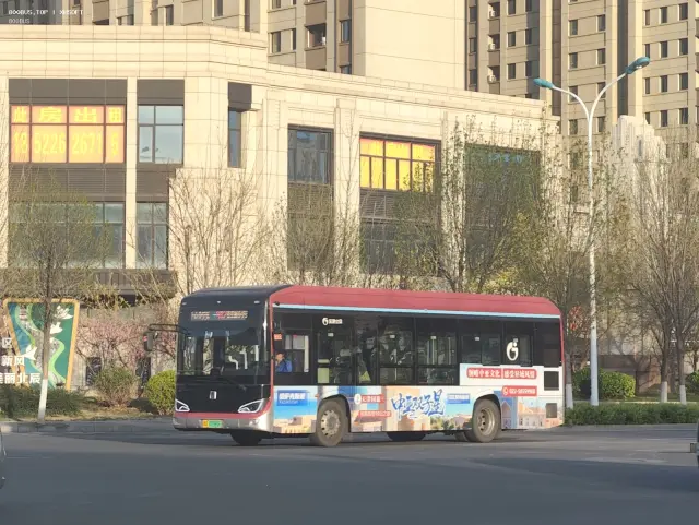 800BUS