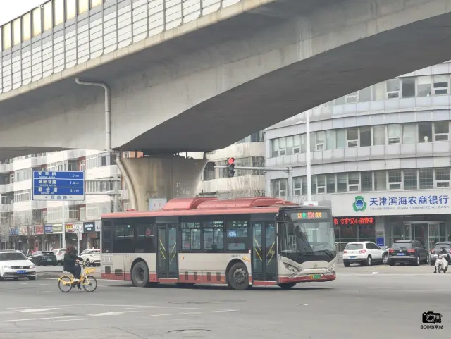 800BUS