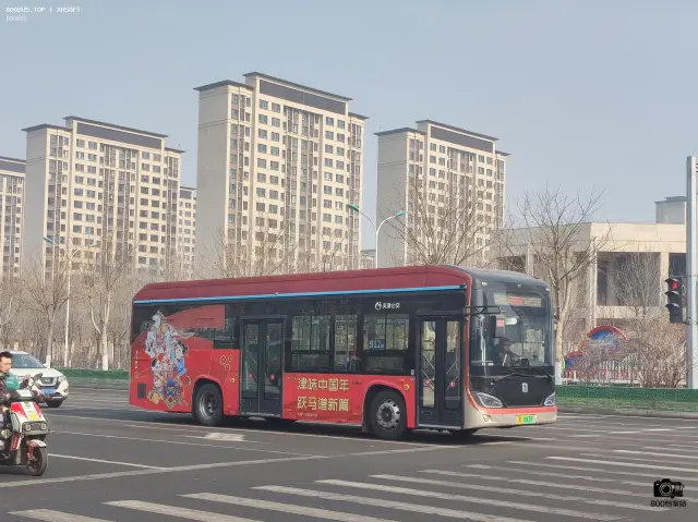 800BUS