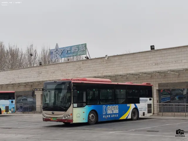 800BUS