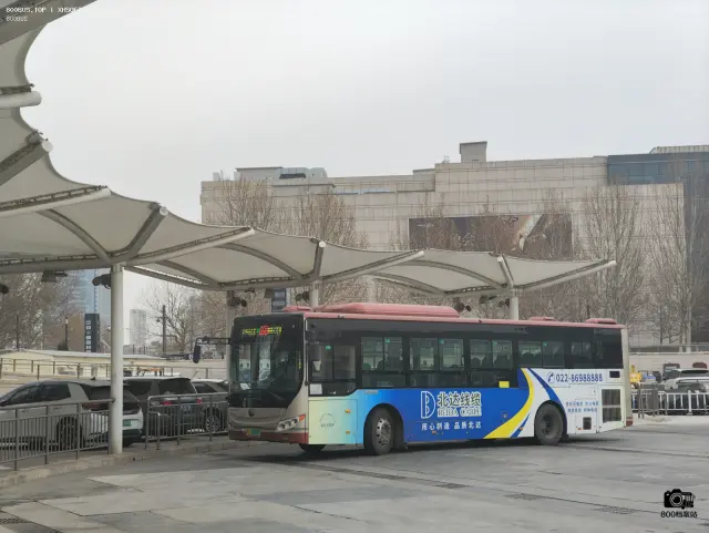 800BUS