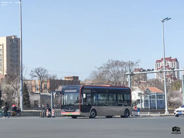 800BUS