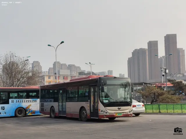 800BUS