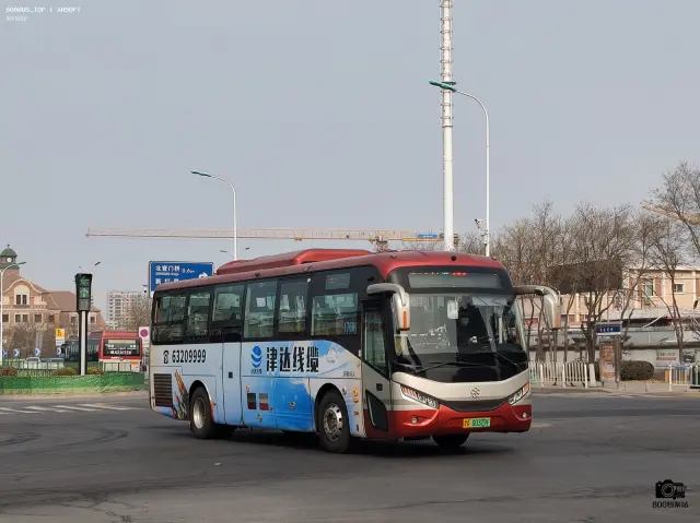 800BUS