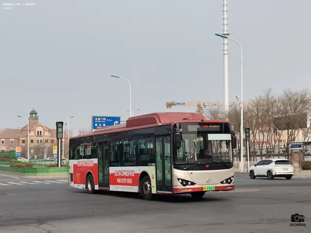 800BUS