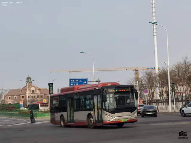 800BUS