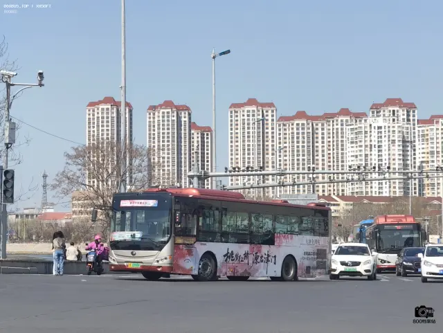 800BUS