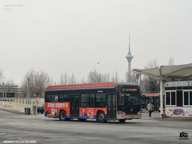 800BUS
