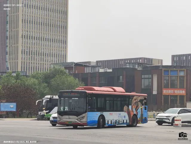 800BUS