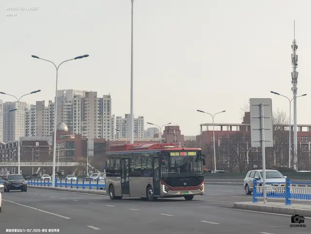 800BUS