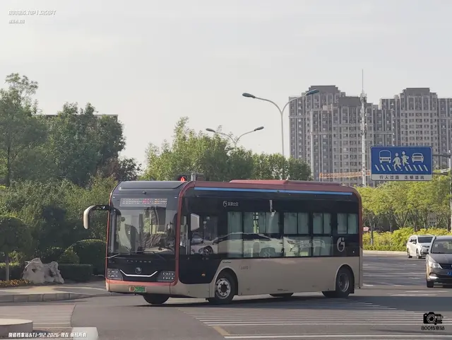 800BUS