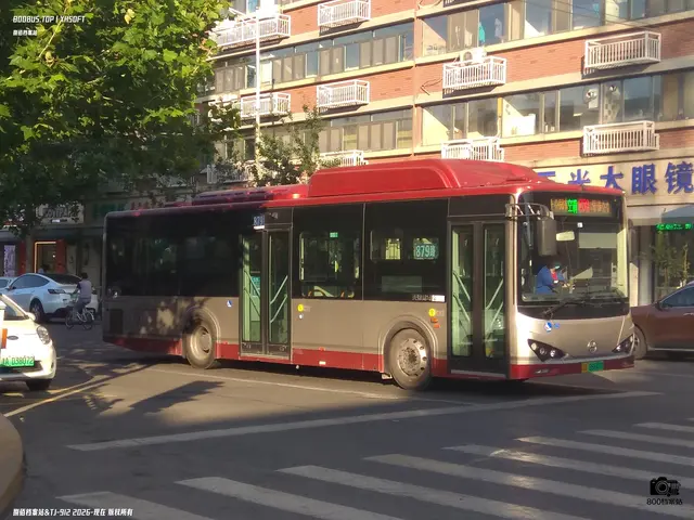 800BUS