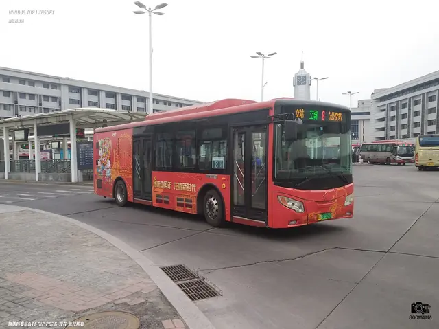 800BUS