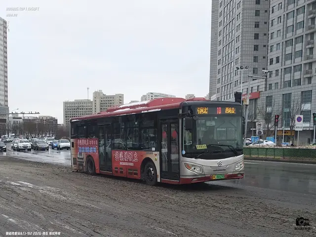 800BUS