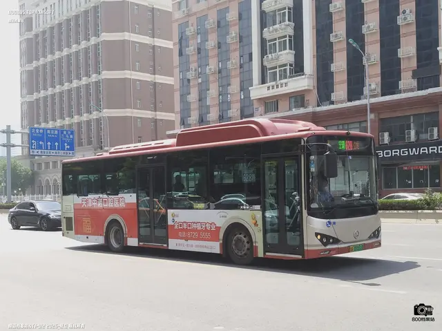 800BUS