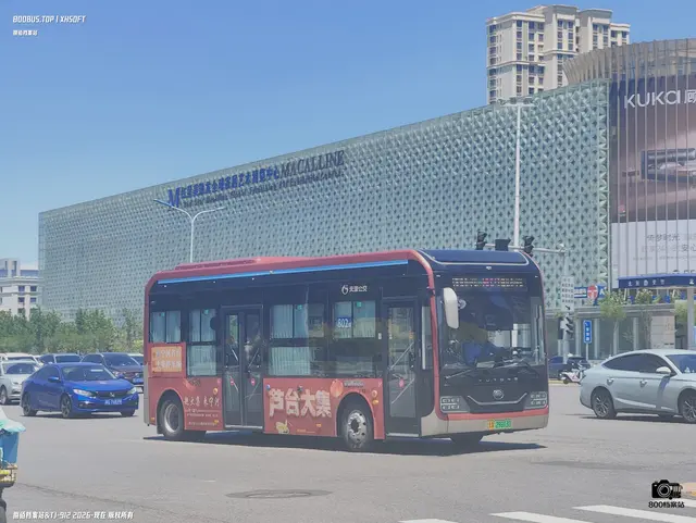 800BUS