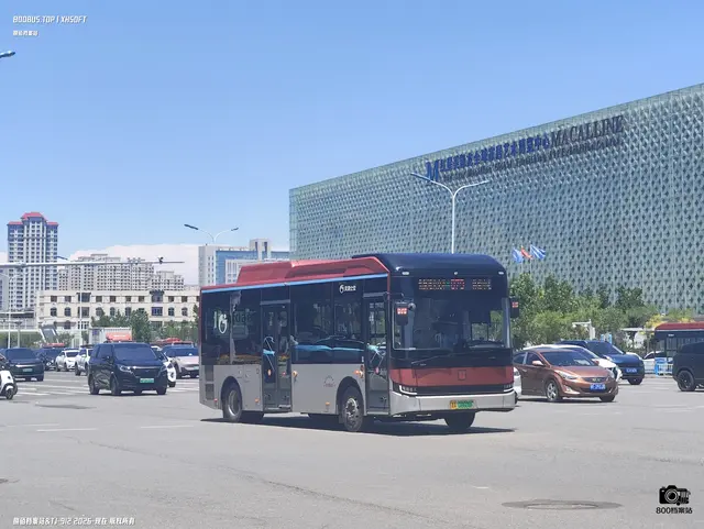 800BUS