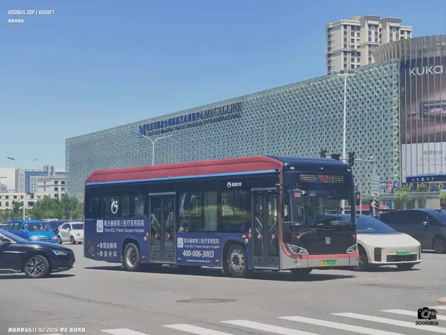 800BUS