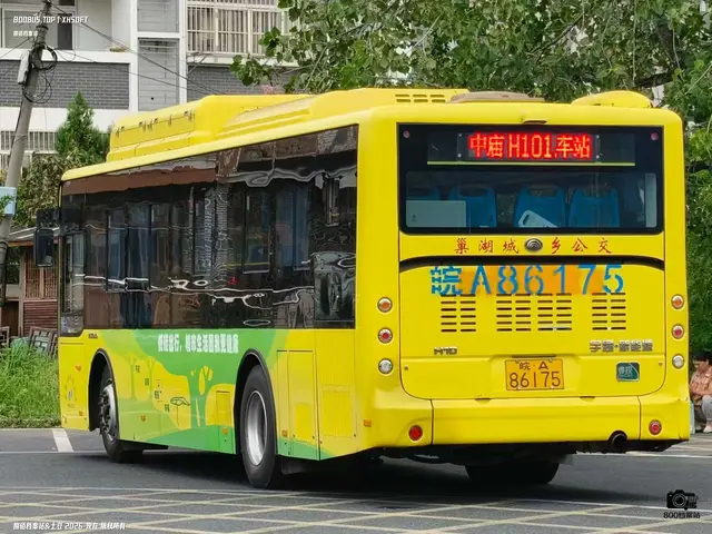 800BUS