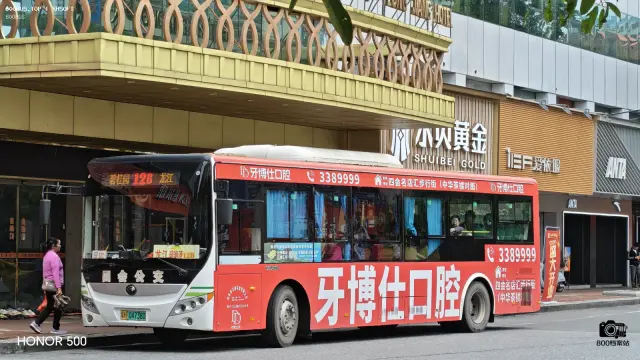 800BUS