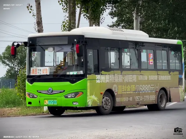 800BUS