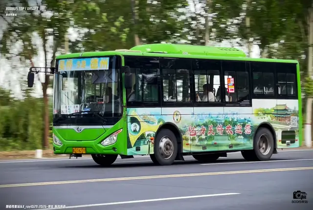800BUS