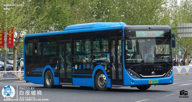 800BUS