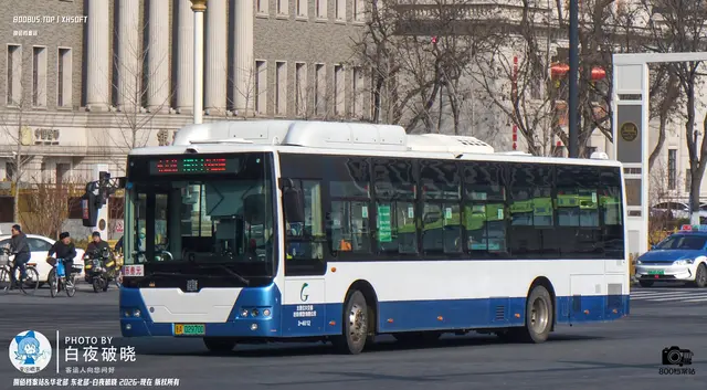 800BUS