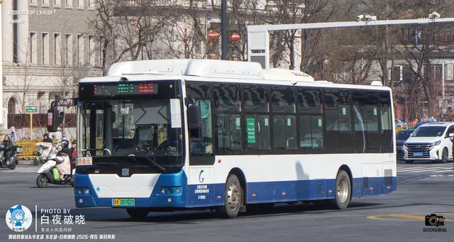 800BUS