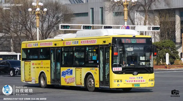 800BUS