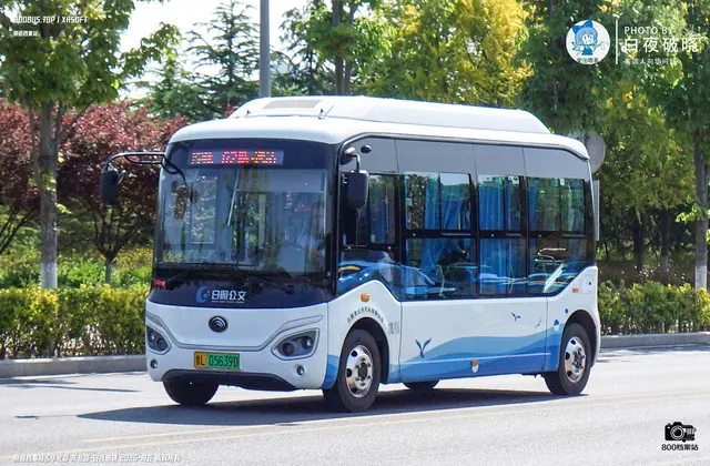 800BUS