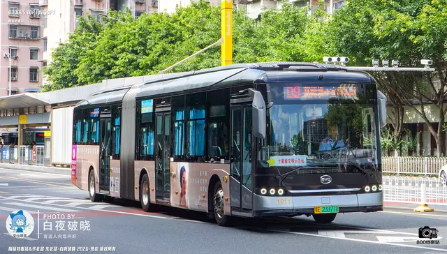 800BUS
